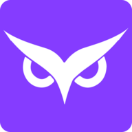 Owlity.ai logo
