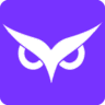 Owlity.ai icon