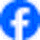 CODE V by Synopsys icon
