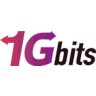 1Gbits icon