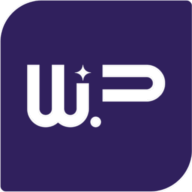 Wizy.Pro logo