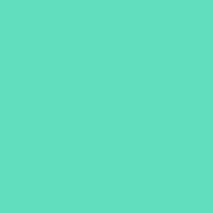 RandomColor.com logo
