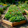 Neighborbrite Vision icon