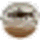 Genshin Impact icon