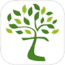 Network Tree App icon