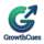 Amplitude icon