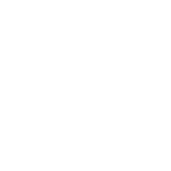 RapidReachDigital logo