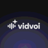 vidvoi icon