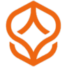 ProcessMind logo