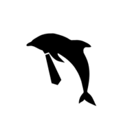 CareerDolphin