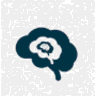 raadsrtest.com logo