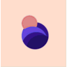Bornbir icon