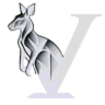 Valti.io icon