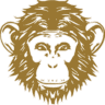 Omneky icon