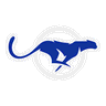 MailCheetah AI logo