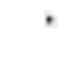 Pig logo