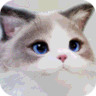 inZOI icon