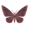 LureMachina icon