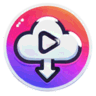 InsDownloader.org icon