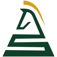 Chessvia.ai logo