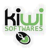 Kiwi Stock Light icon