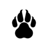 ClawCloud Run icon