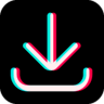 TiktokSaver.pro icon