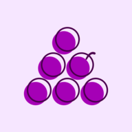 VibeBerry.io logo
