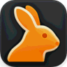 RabbitGUI icon