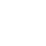 MeetEcho.app logo