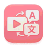 VideoTranslator.io icon