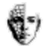 DeepLiveCam icon