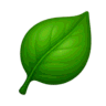 eden.pm icon