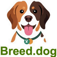 Breed.dog logo