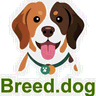 Breed.dog logo