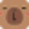 Typibara icon