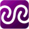 Surwise logo