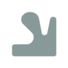 Sublime icon