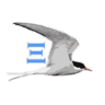 noryX by SusTern icon