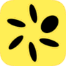 Pera Algo Wallet icon