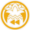 Rizin icon