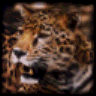 BigPEmu icon