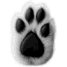 Probo icon