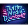 TwitterVideoDownloader.xyz icon