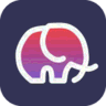 Splital logo
