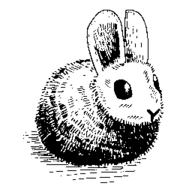 Hare (Programming Language) logo