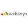 Websays icon