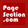 PageSection AI Web Page Translator icon