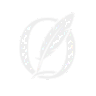 OnyxScript logo