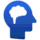 next play icon